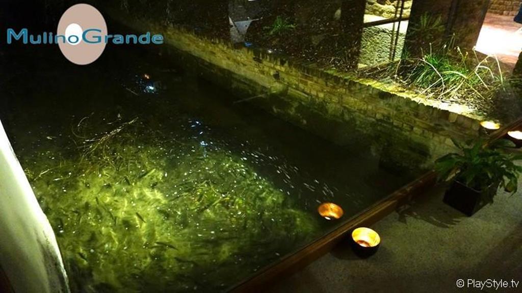 Hotel Mulino Grande Cusago Екстериор снимка